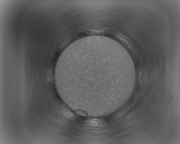 X0000071950467200608041558