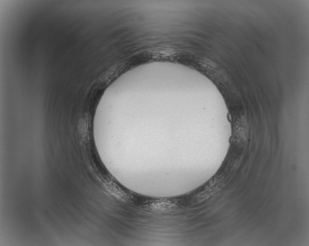 X0000071950468200608041558