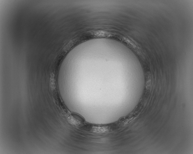 X0000071950469200608041558