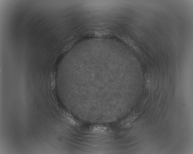 X0000071950471200608041558