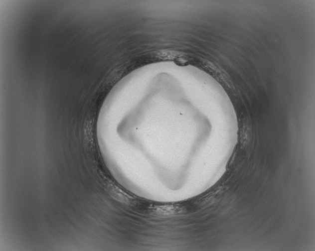 X0000071950473200608041558