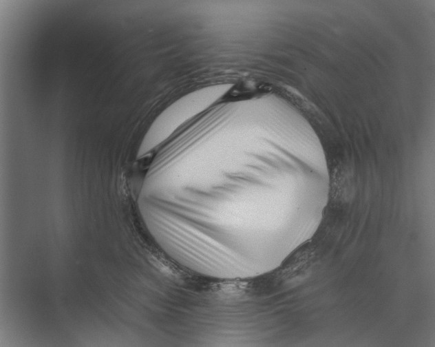 X0000071950474200608041558