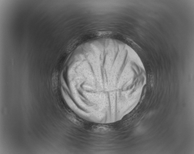 X0000071950475200608041558