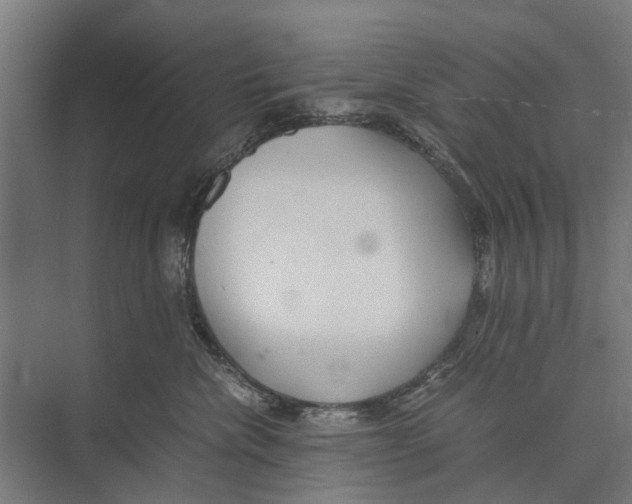 X0000071950476200608041558