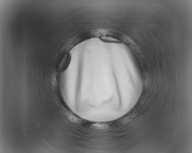 X0000071950477200608041558