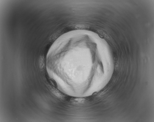 X0000071950478200608041558