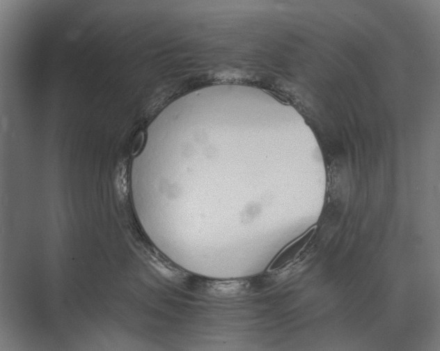 X0000071950479200608041558