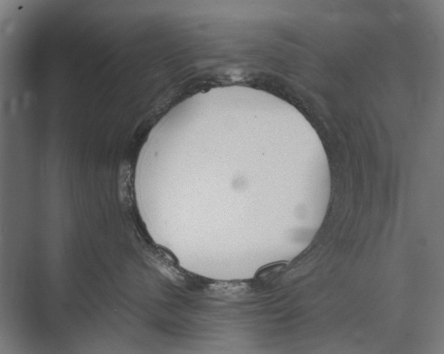 X0000071950480200608041558