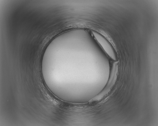 X0000071950481200608041557