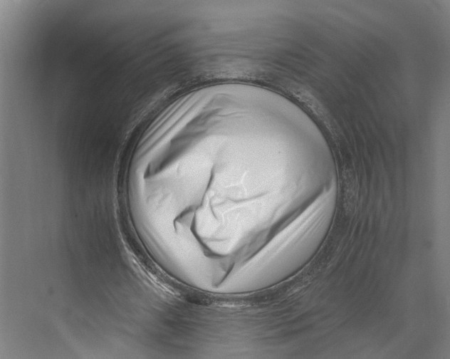 X0000071950482200608041557