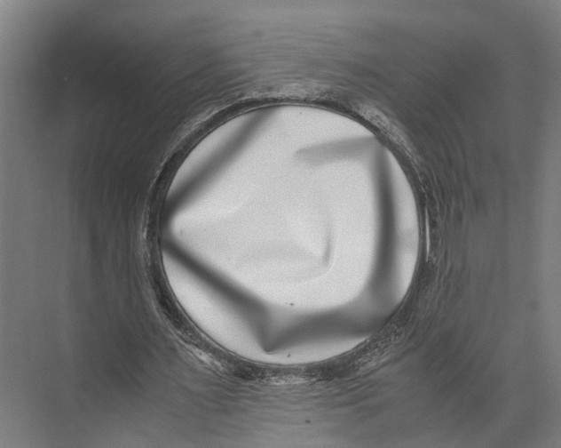 X0000071950483200608041557