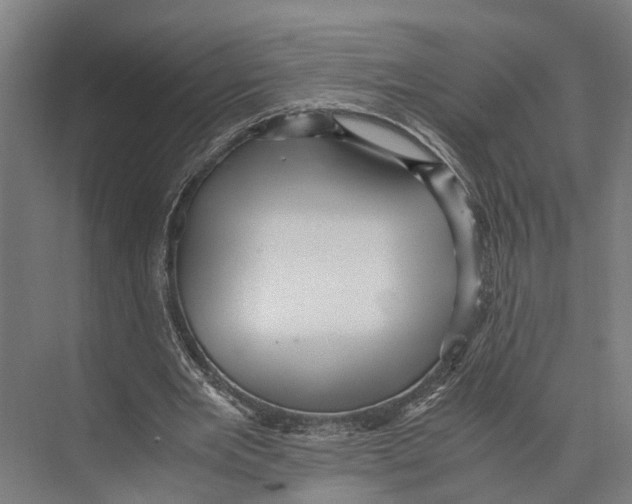 X0000071950485200608041557