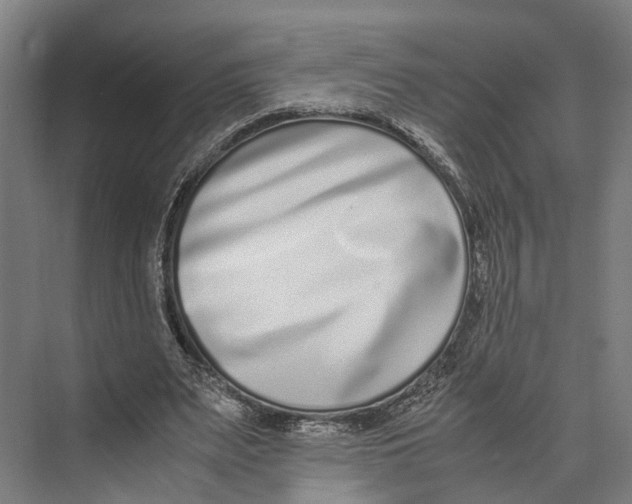 X0000071950487200608041557