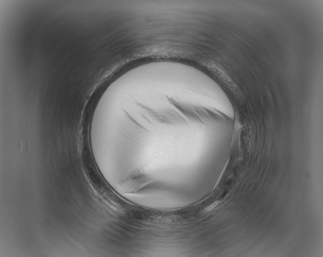 X0000071950488200608041557