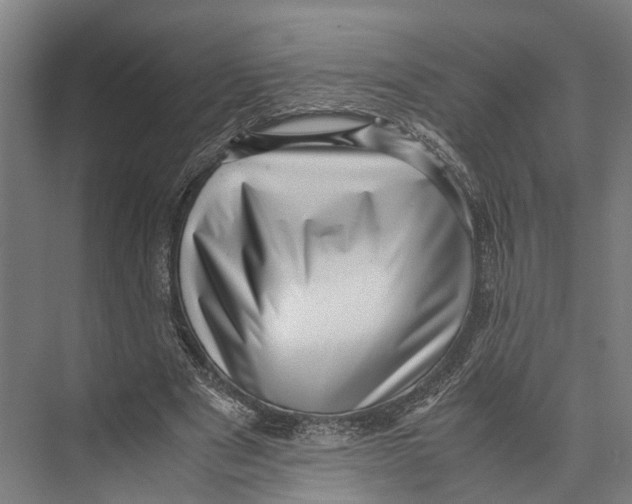 X0000071950489200608041557