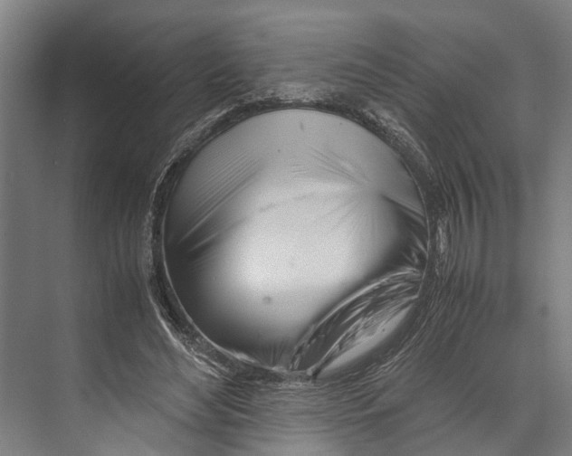 X0000071950492200608041557