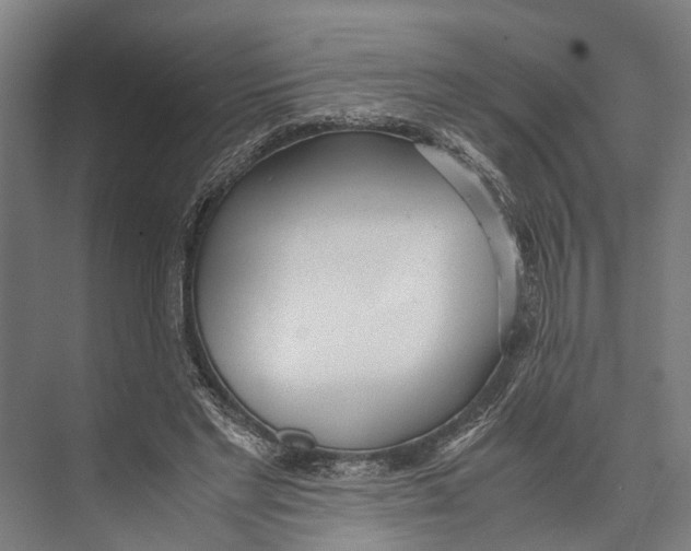 X0000071950493200608041557