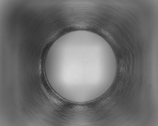 X0000071950494200608041557