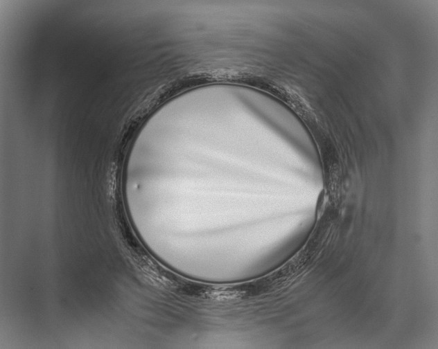 X0000071950495200608041557