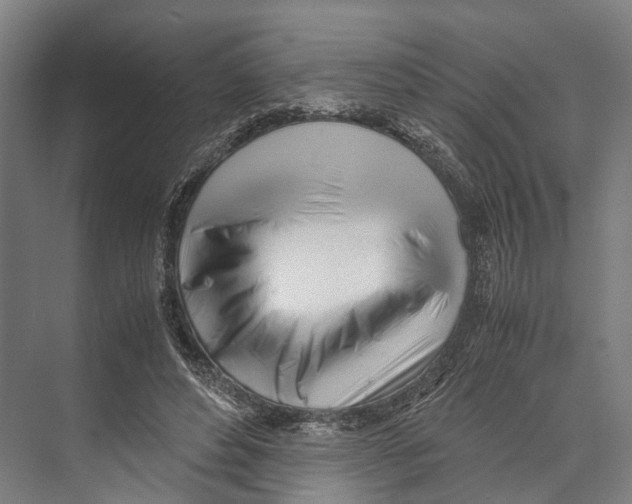 X0000071950496200608041557