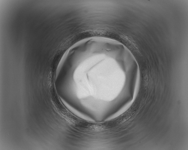 X0000071950498200608041557