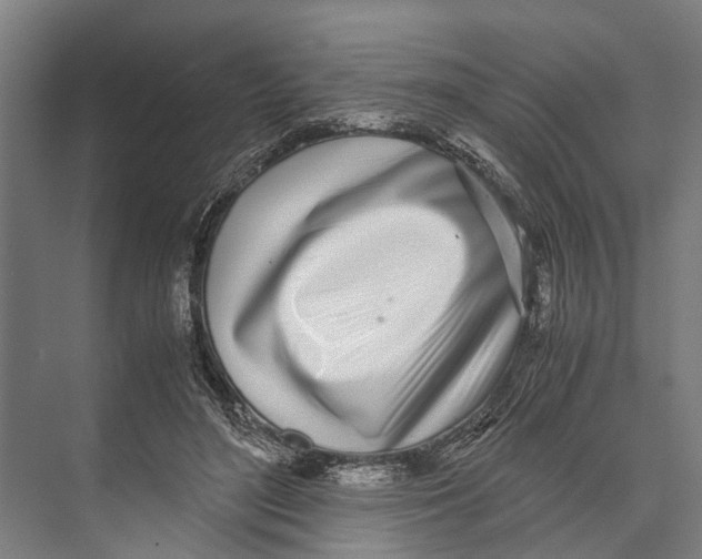 X0000071950500200608041557