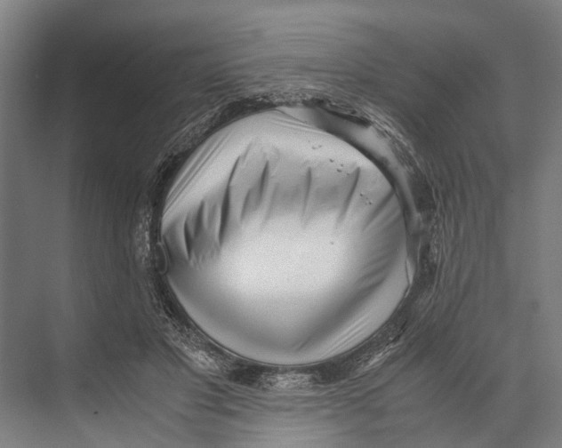 X0000071950501200608041557