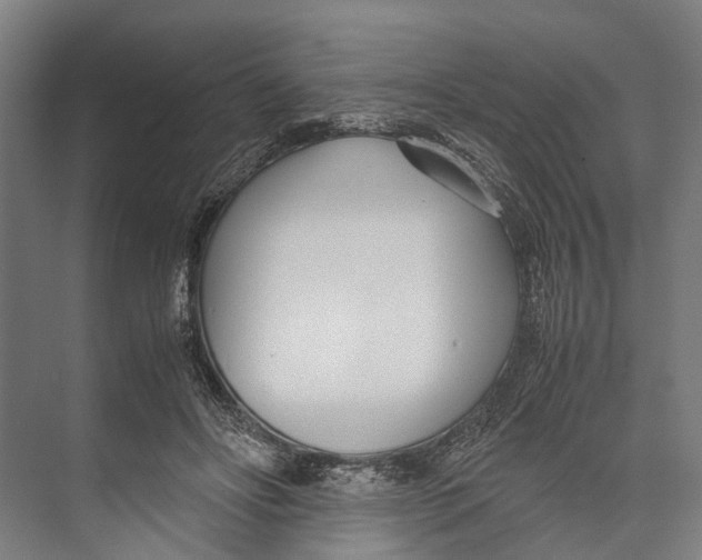 X0000071950502200608041557