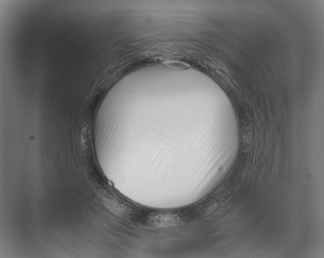 X0000071950503200608041557