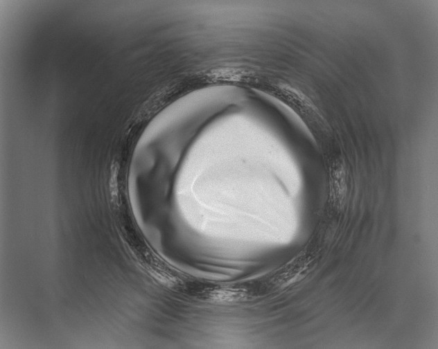 X0000071950504200608041557