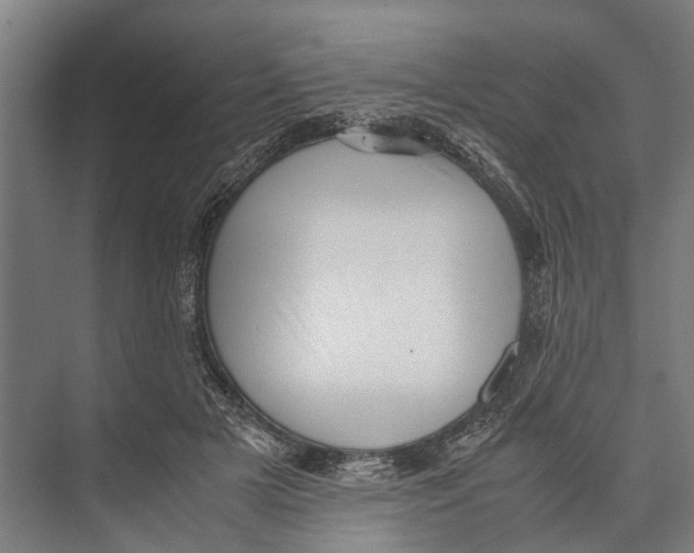 X0000071950505200608041557