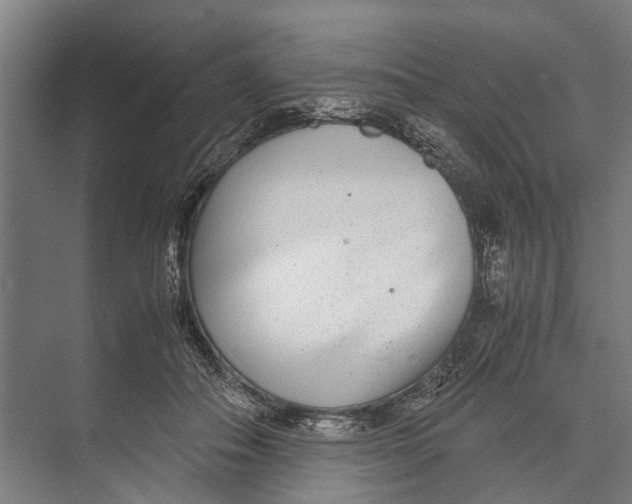 X0000071950506200608041557