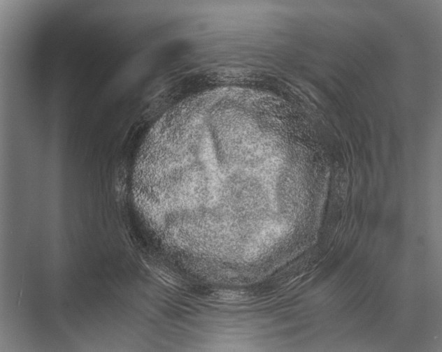 X0000071950507200608041557