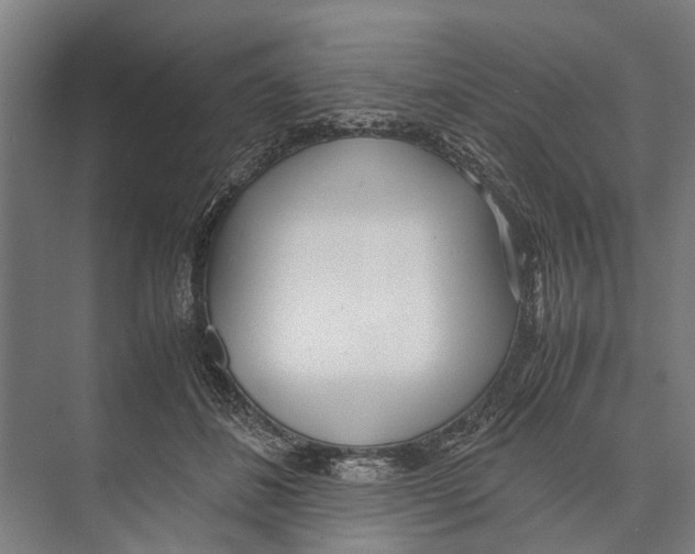 X0000071950508200608041557