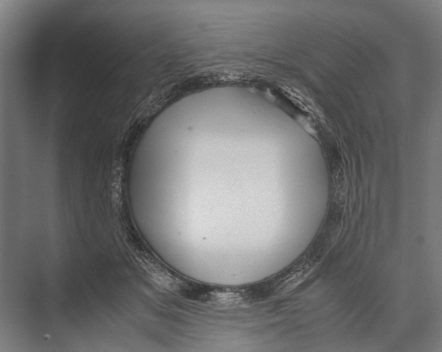 X0000071950509200608041557