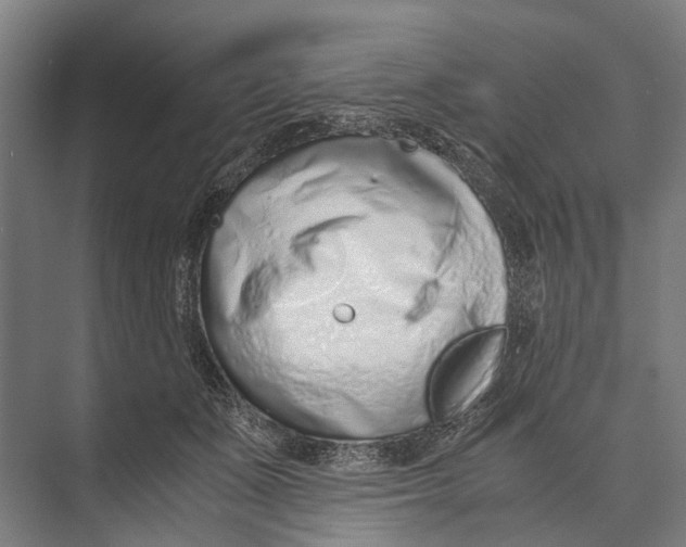 X0000071950511200608041556