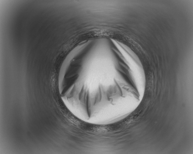 X0000071950513200608041556