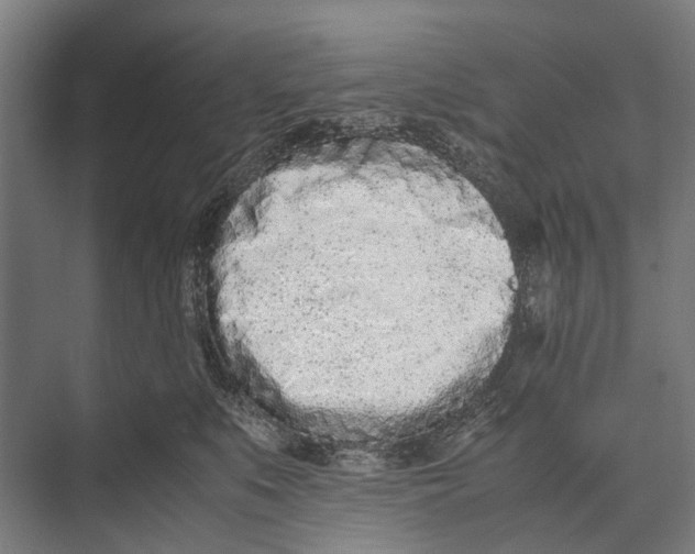 X0000071950519200608041556