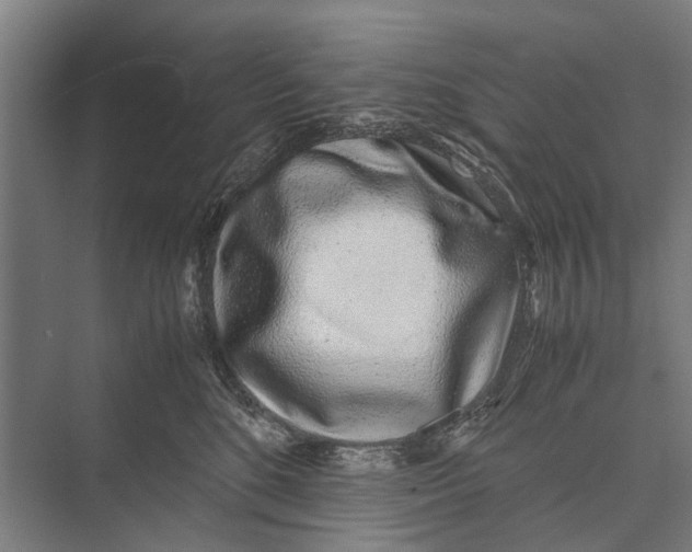 X0000071950520200608041556