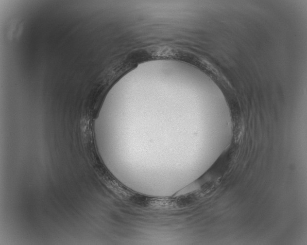 X0000071950521200608041556