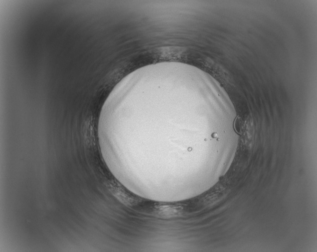 X0000071950522200608041556