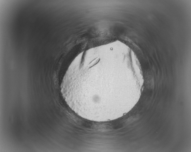 X0000071950523200608041556