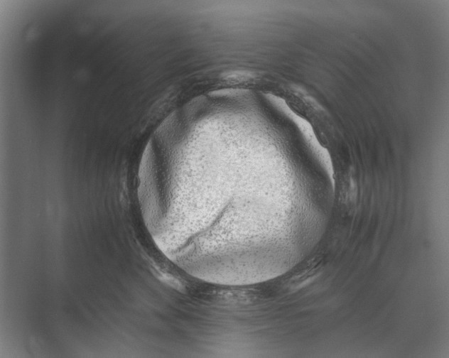 X0000071950524200608041556