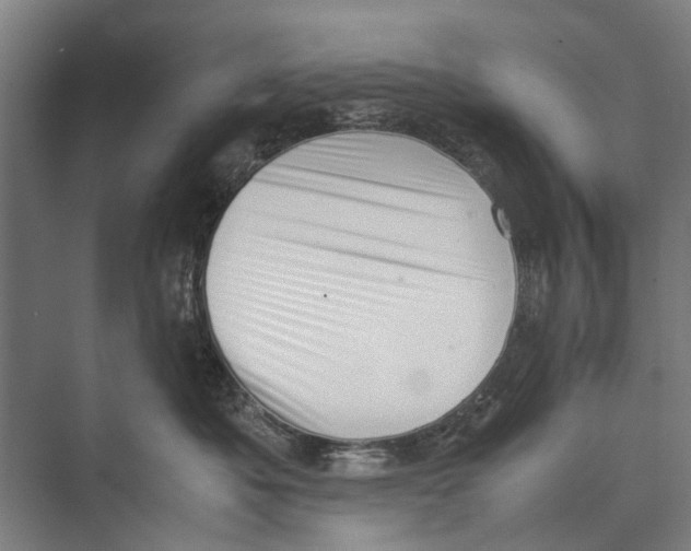 X0000071950525200608041556