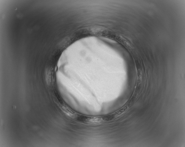 X0000071950527200608041556