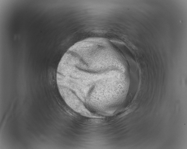 X0000071950528200608041556