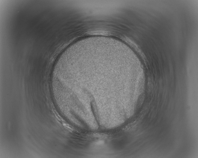 X0000071950529200608041555