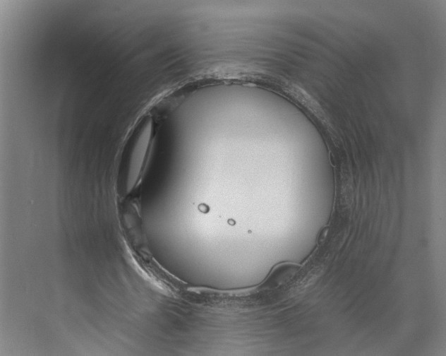 X0000071950530200608041555