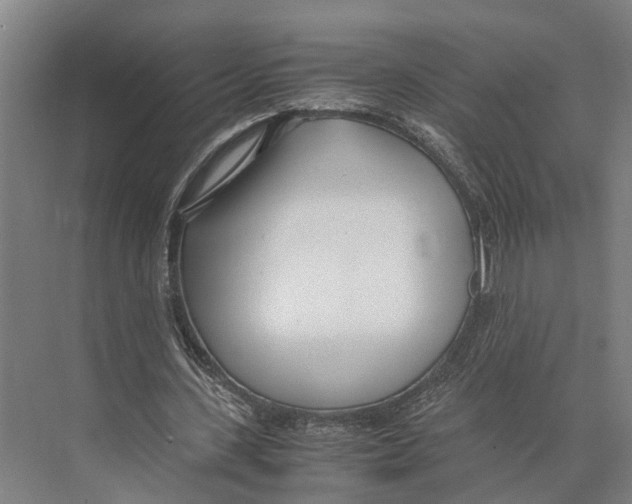 X0000071950531200608041555