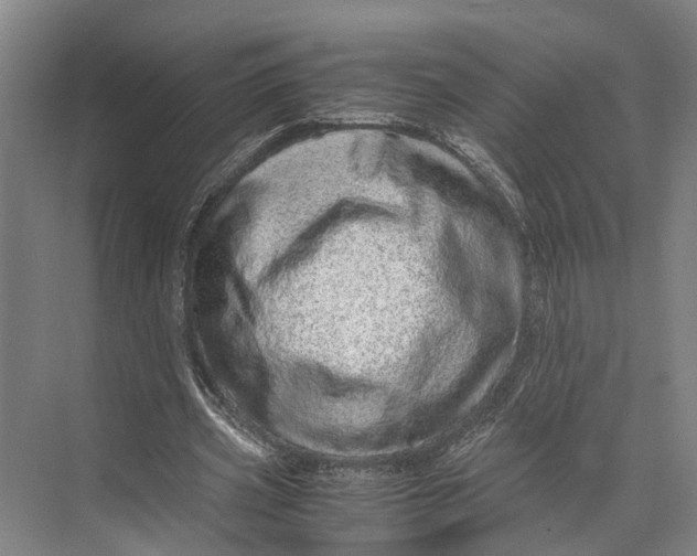 X0000071950533200608041555